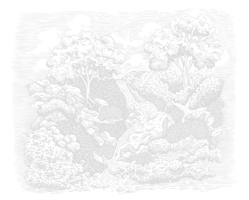 assets/images/tgw/waterfall.png